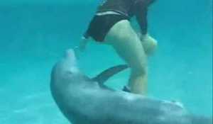 Snuskig delfin!