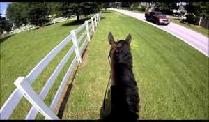 Oturliga olyckor på hästryggen, via en GoPro